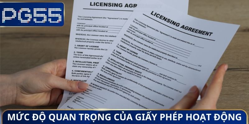 Giấy Phép Hoạt Động PG55 - Bảo Chứng Cho Sự Uy Tín