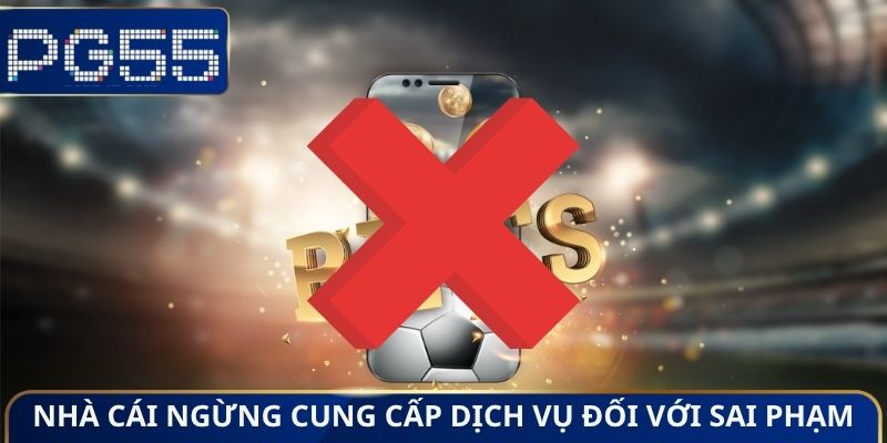 Điều Khoản Dịch Vụ - Tổng Hợp Quy Định Mới Nhất Cho Hội Viên